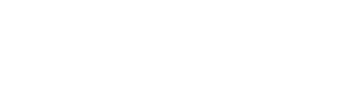 Professional Plumbing Solutions horizontal white logo