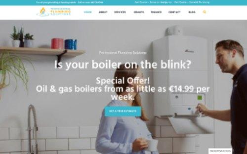 Professional Plumbing Solutions website screenshot 2019